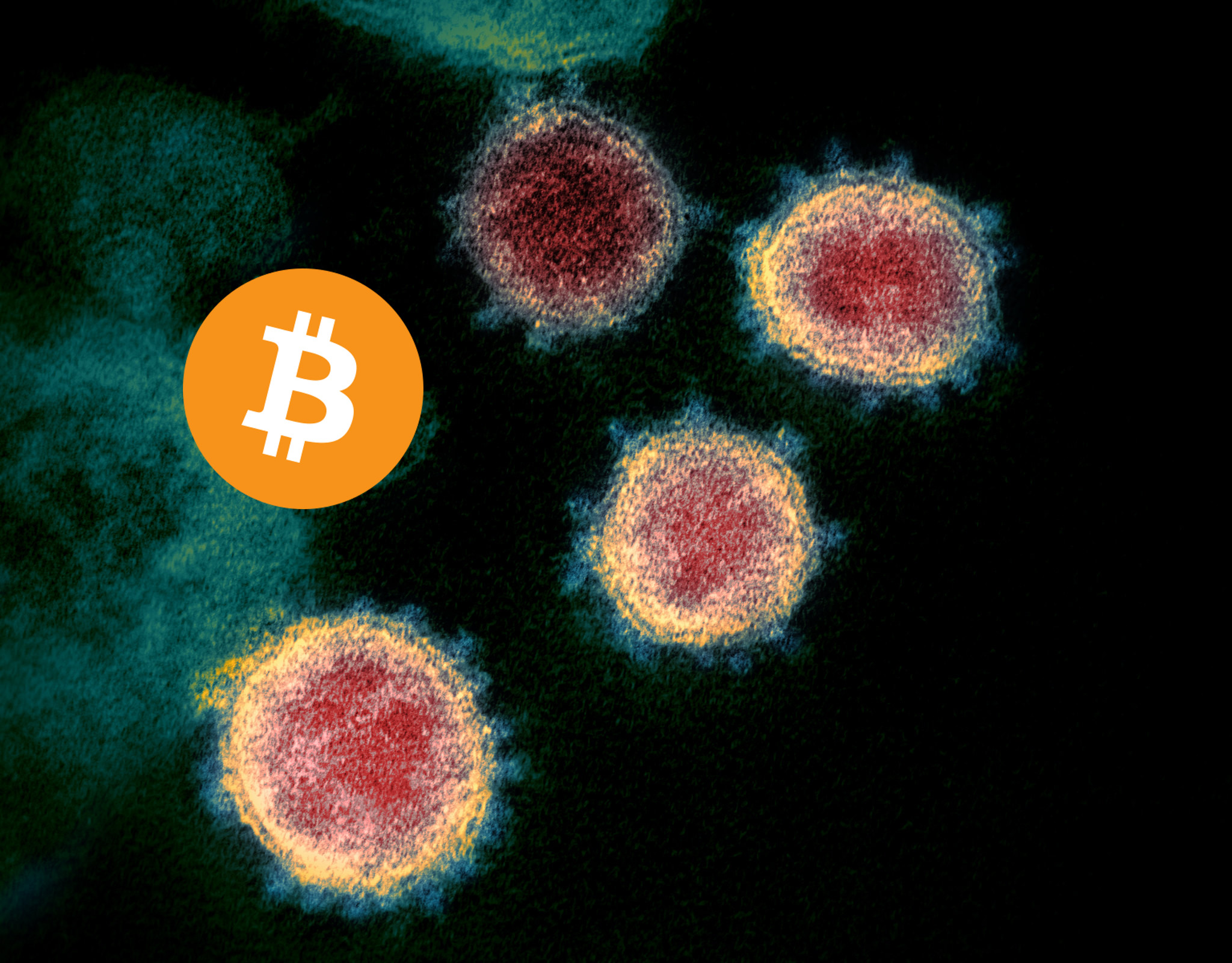 EILMELDUNG: Bitcoin besiegt Corona. Impfrezept verschlüsselt in Blockchain entdeckt!
